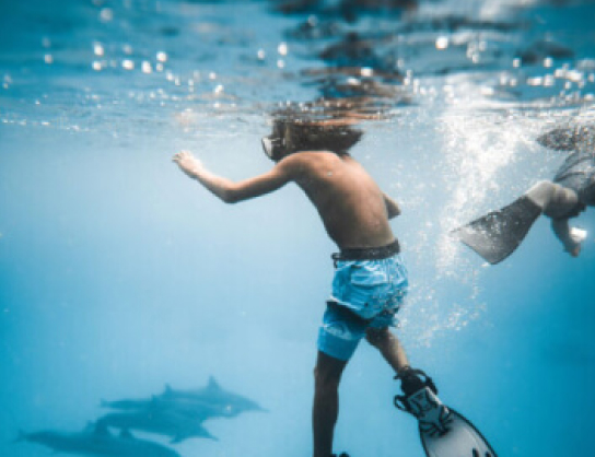 Cardano Market Cap Data Chart