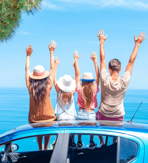 Cardano Market Cap Data